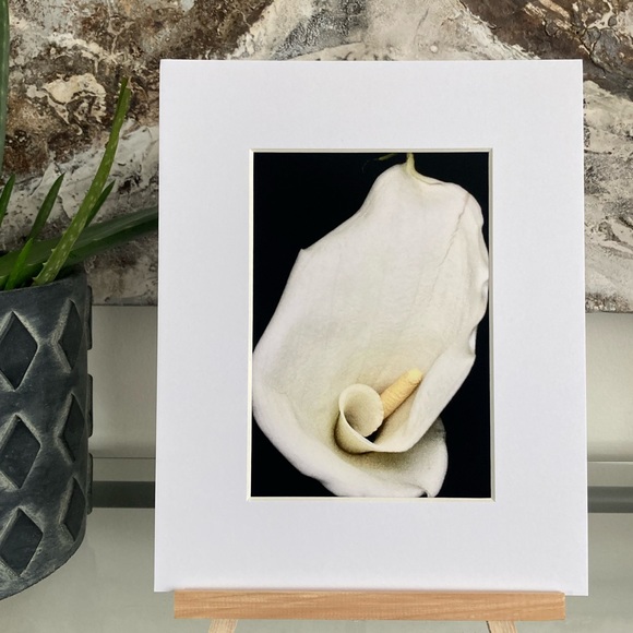 “CALISTA” ~ ORIGINAL ART by ~ @lisamichellebeckerphotography - Picture 1 of 13